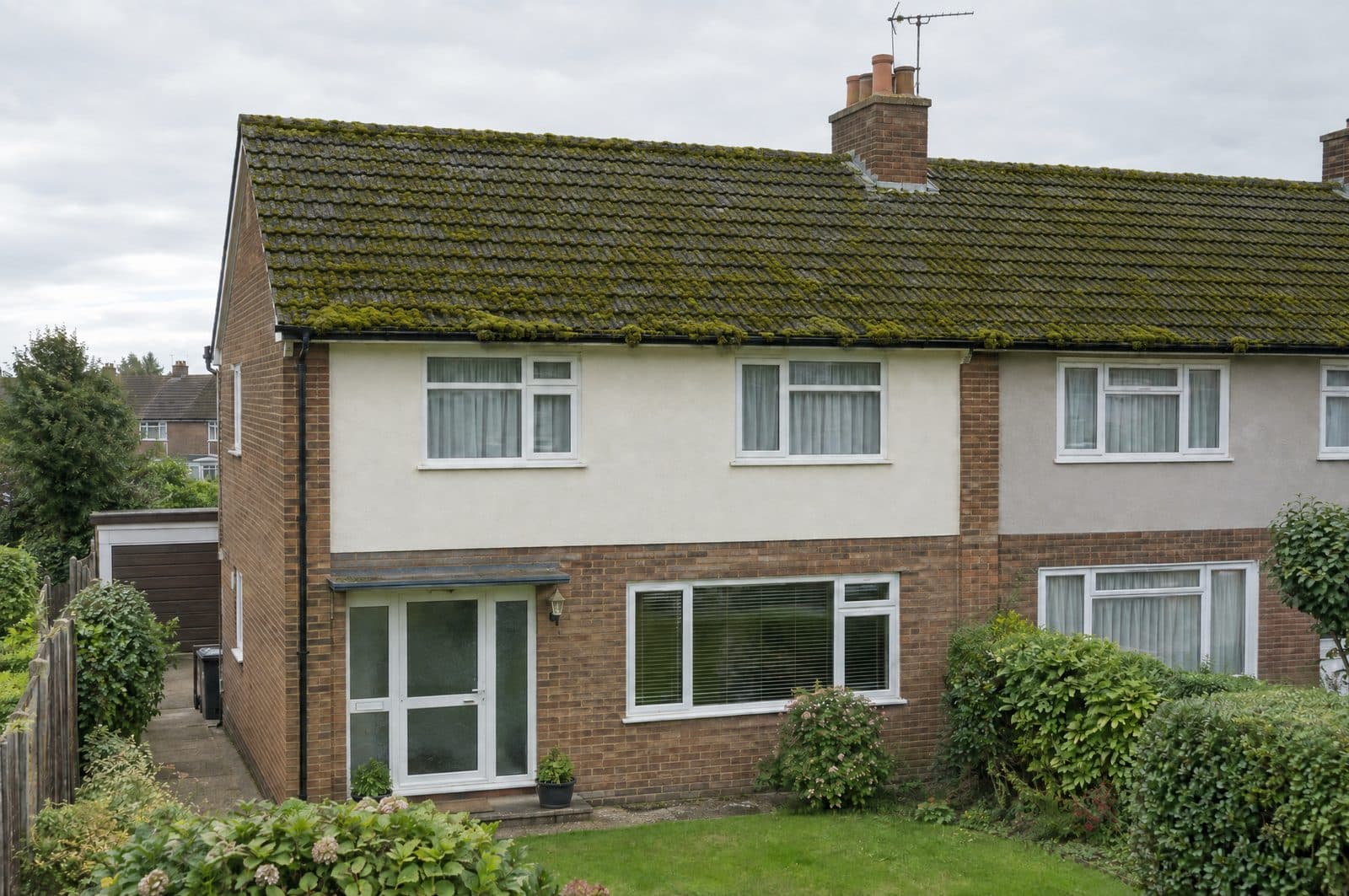 A semi-detached house with its tiled roof covered in thick green moss and lichen