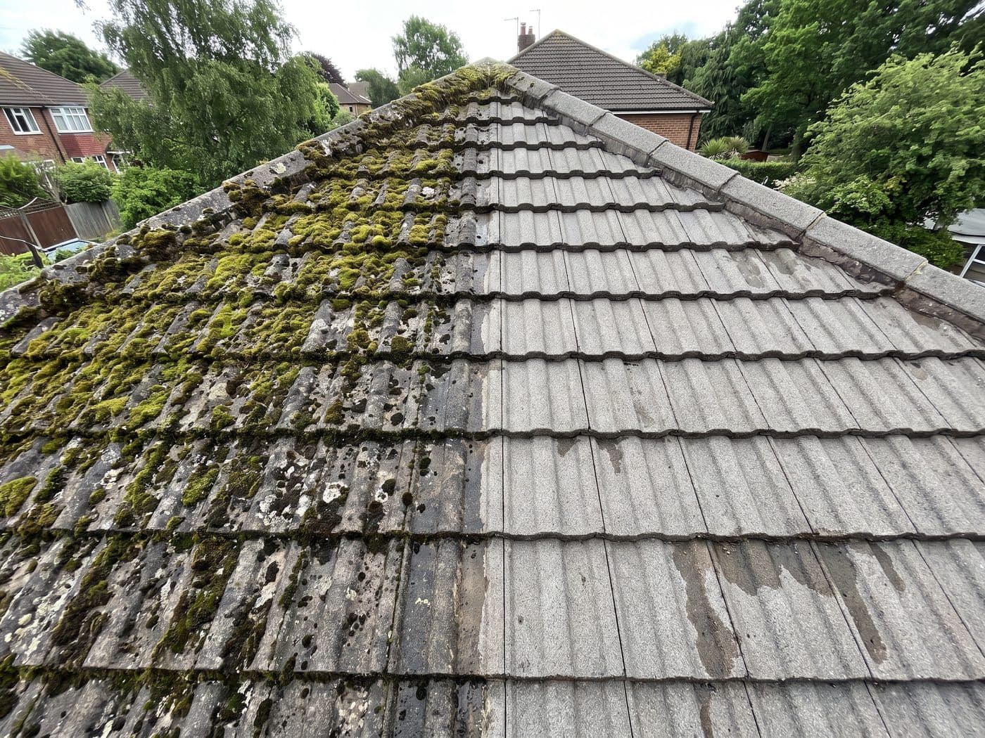 A tiled roof part way through cleaning, heavy moss on one side and clean tile on the other
